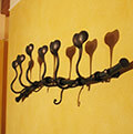 iron design coat hanger