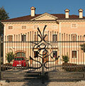 entrance gate with decorative work